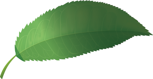 leaf1